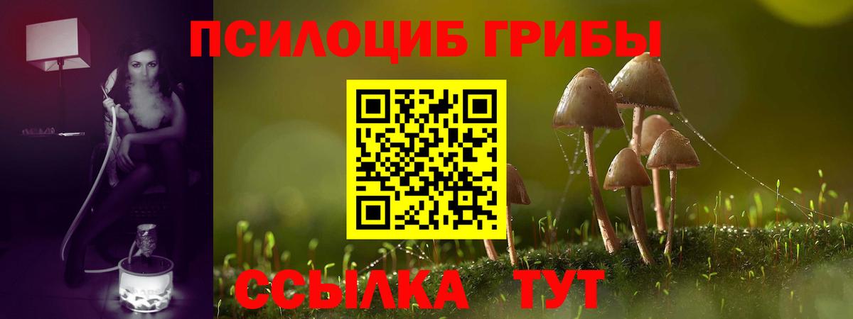 Галлюциногенные грибы Cubensis Спасск-Дальний